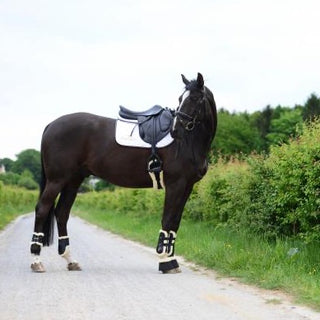 Sheepskin Fetlock Boots Elastic