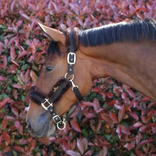 Nylon Sheepskin Halter