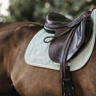 Saddle Pad Color Edition