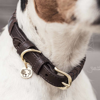 Dog Collar Triangle