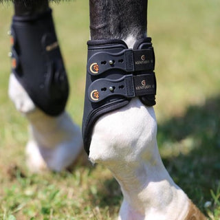 Fetlock Boots Elastic