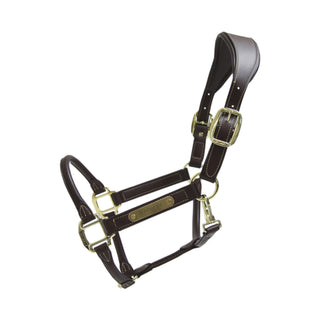 Anatomic Leather Halter