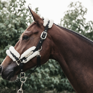 Nylon Sheepskin Halter