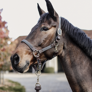 Plaited Nylon Halter