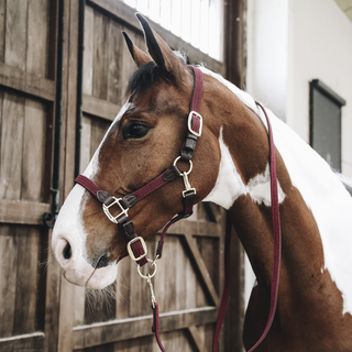 Plaited Nylon Horse Lead