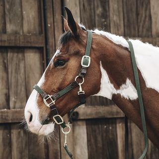 Plaited Nylon Halter