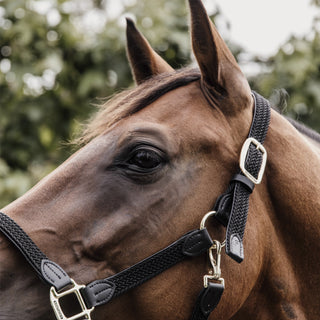 Plaited Nylon Halter