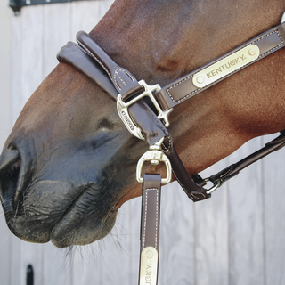 Leather Covered Chain Lead