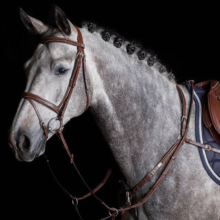 Bridle With Flash Noseband - Cow Leather