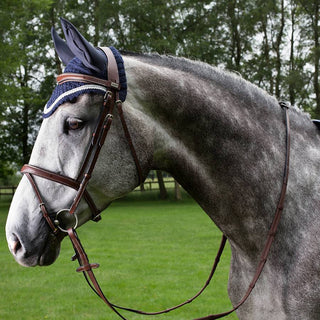 Bridle With Flash Noseband - Cow Leather