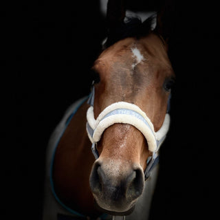 The Stall Nylon Sheepskin Halter